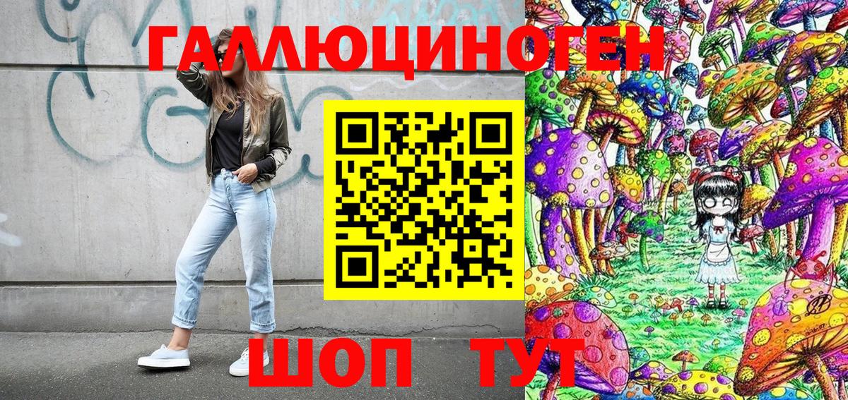 Бугульма  Псилоцибиновые грибы Cubensis  Вход с VPN 